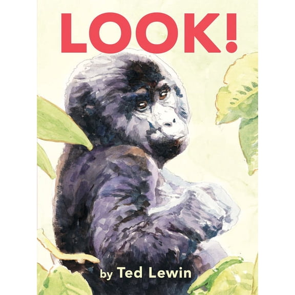 Look! (Board book)