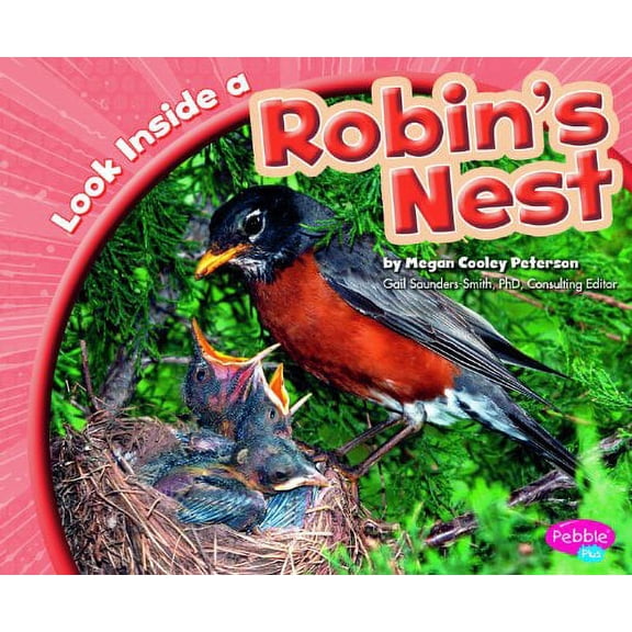 Pre-Owned Look Inside a Robin's Nest