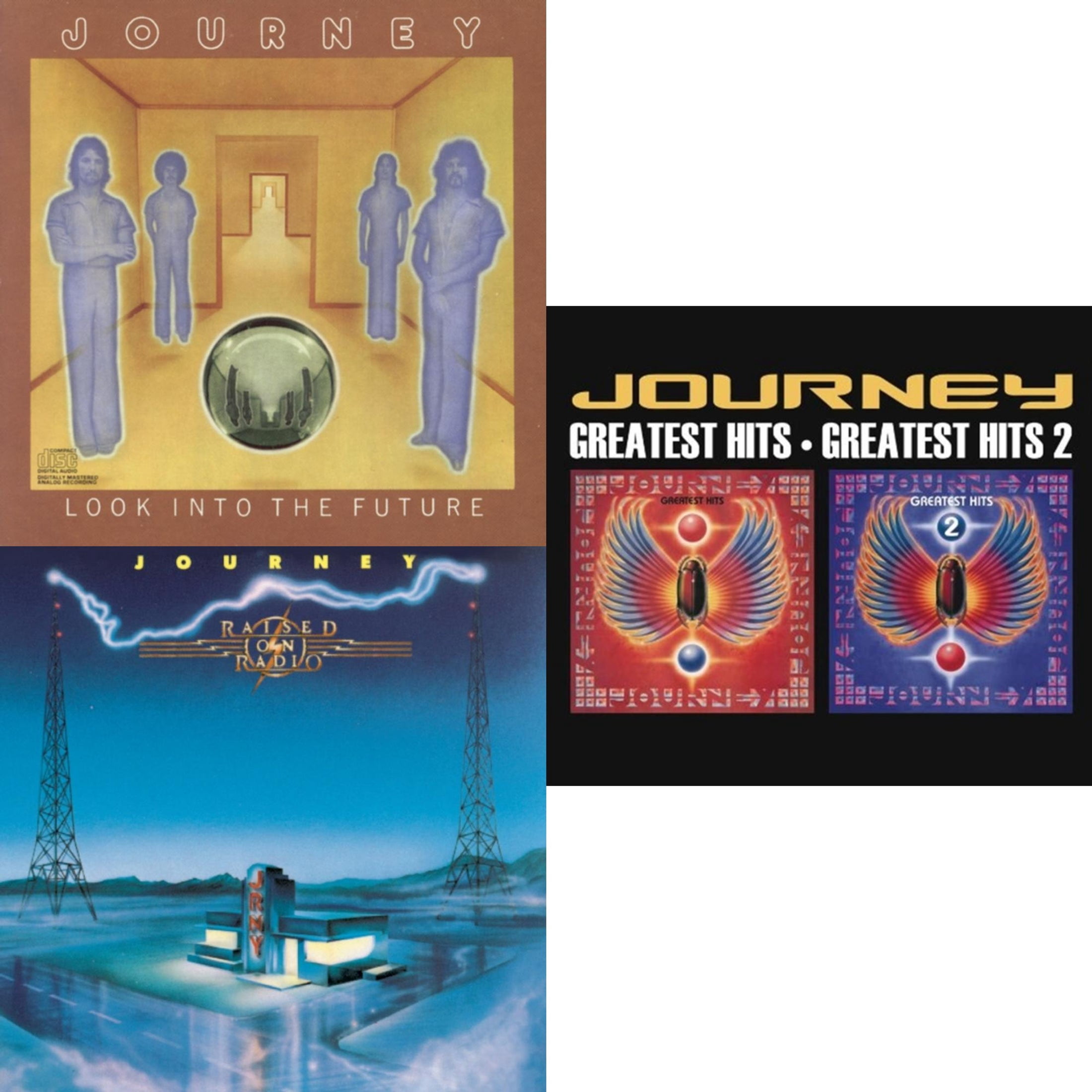 Look Into The Future & Raised On Radio & Greatest Hits 1 & 2 [CD Bundle ...