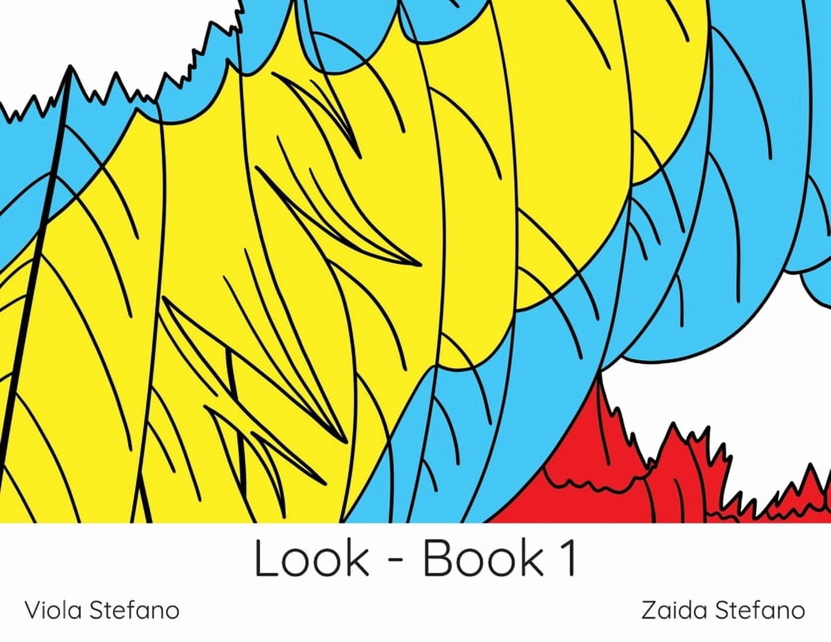 Look Look - Book 1: VI, Book 2, (Paperback)