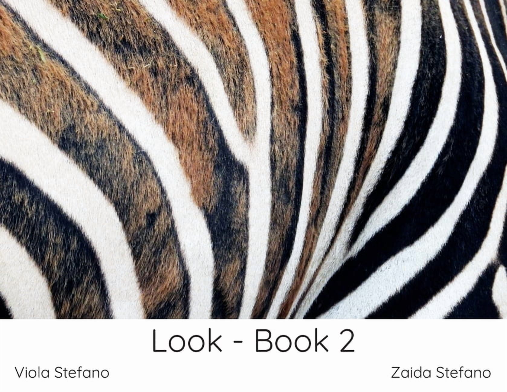 Look Look - Book 2, Book 2, (Paperback)