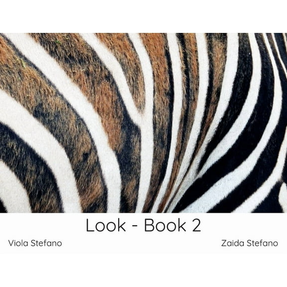 Look: Look - Book 2 (Paperback)