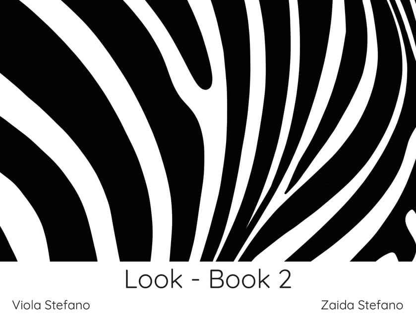 Look Look - Book 2: VI, Book 2, (Paperback)