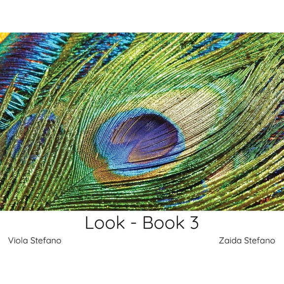 Look: Look - Book 3 (Paperback)