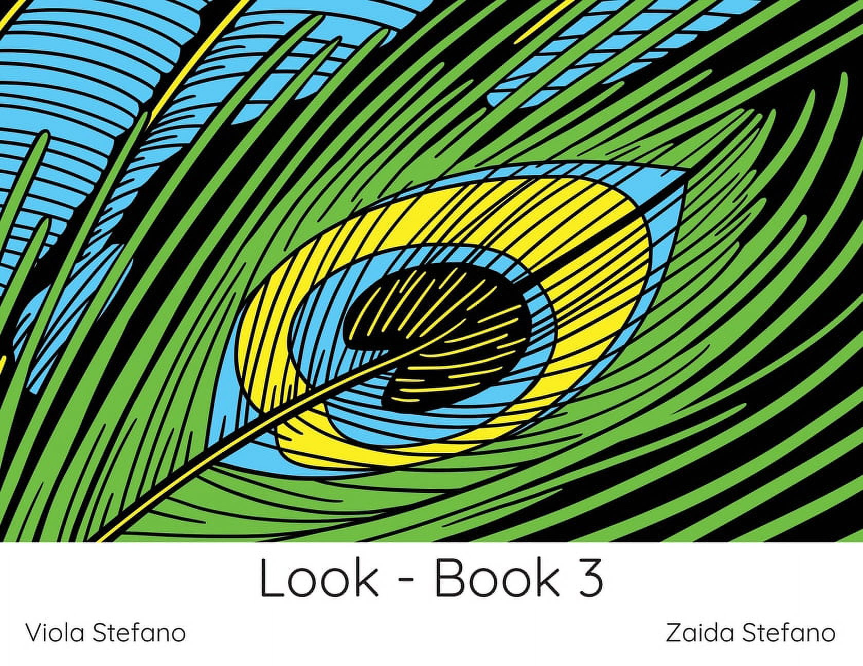 Look Look - Book 3: VI, Book 2, (Paperback)