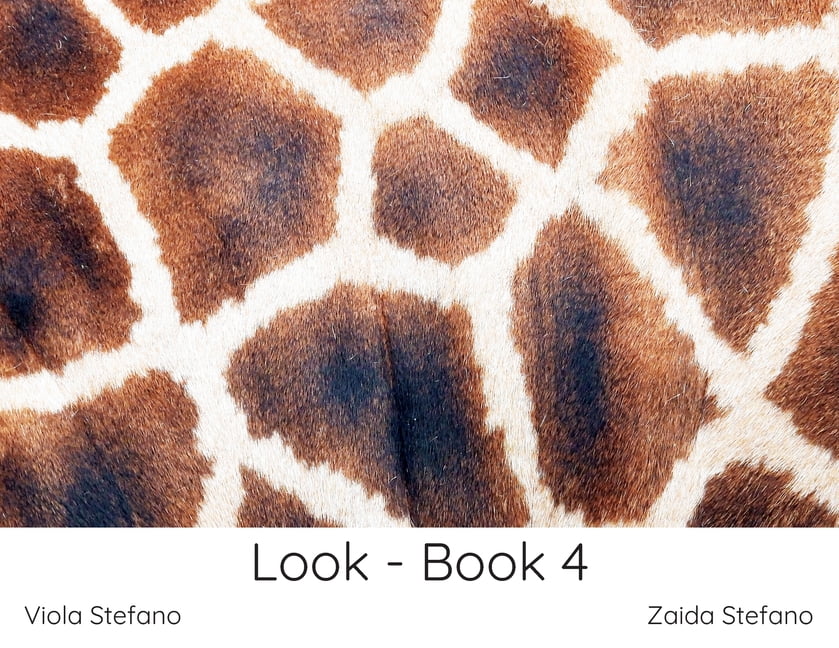Look Look - Book 4, Book 2, (Paperback)