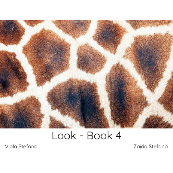 Look: Look - Book 4 (Paperback)