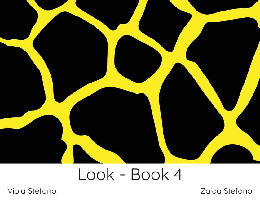 Look Look - Book 4: VI, Book 2, (Paperback)