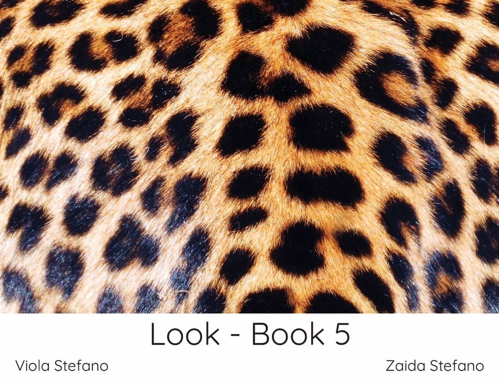 Look Look - Book 5, Book 2, (Paperback)