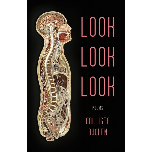 Look Look Look, (Paperback)