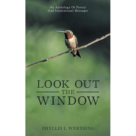 Look Out the Window, (Paperback)