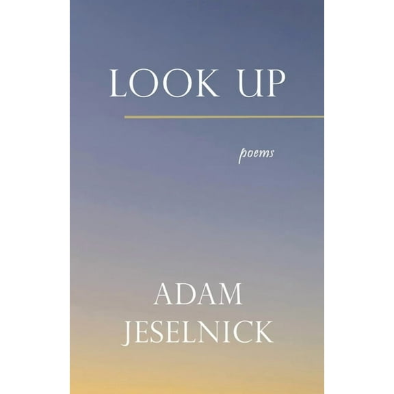 Look Up (Paperback)