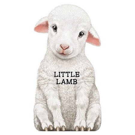 Look at Me Books (Barron's): Little Lamb (Board Book)