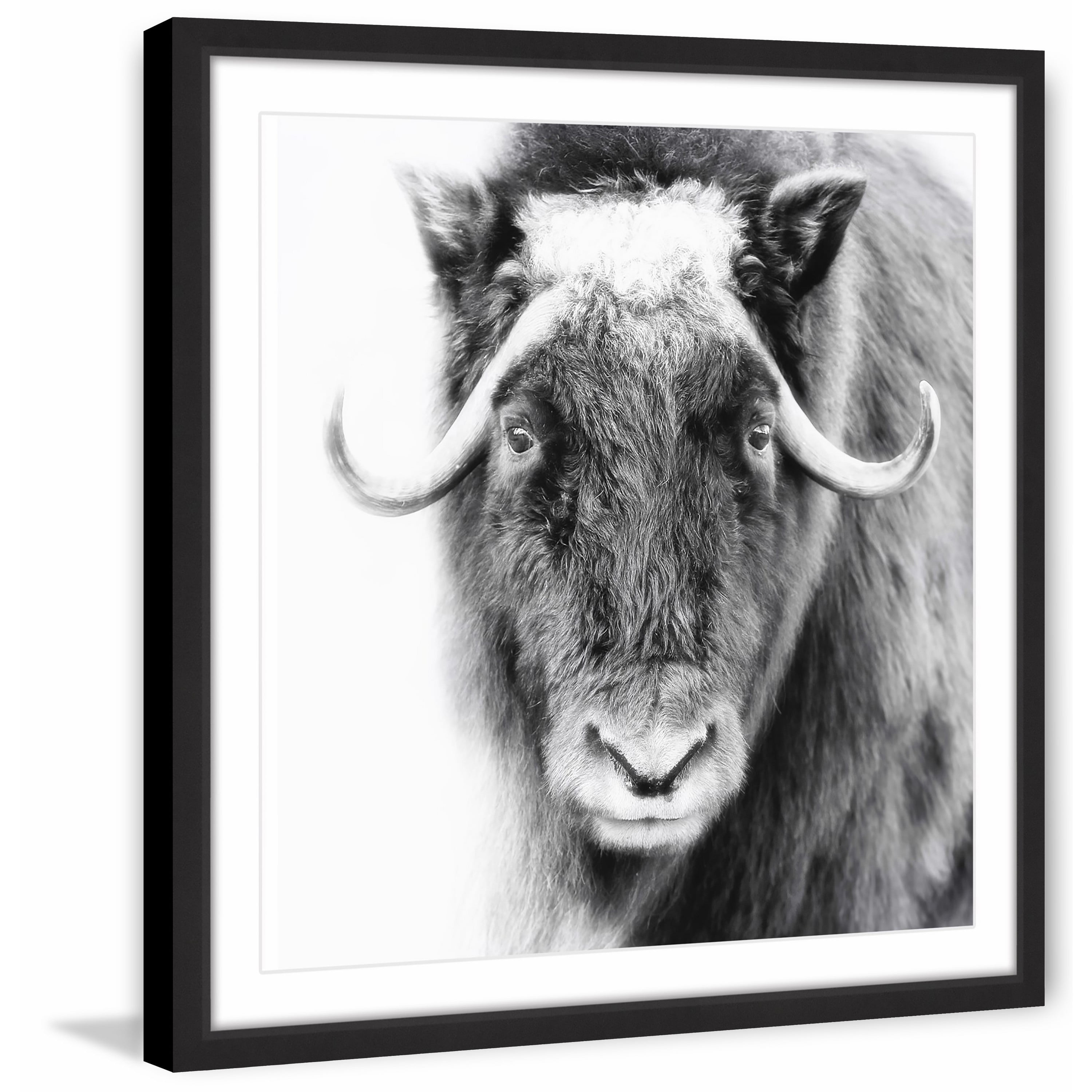 Black and White Framed Animal Canvas Print, 14" x 14"