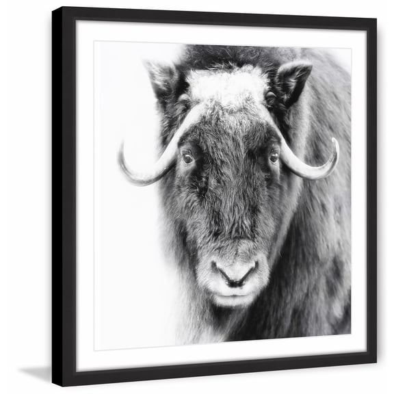Look at Me Framed Painting Print