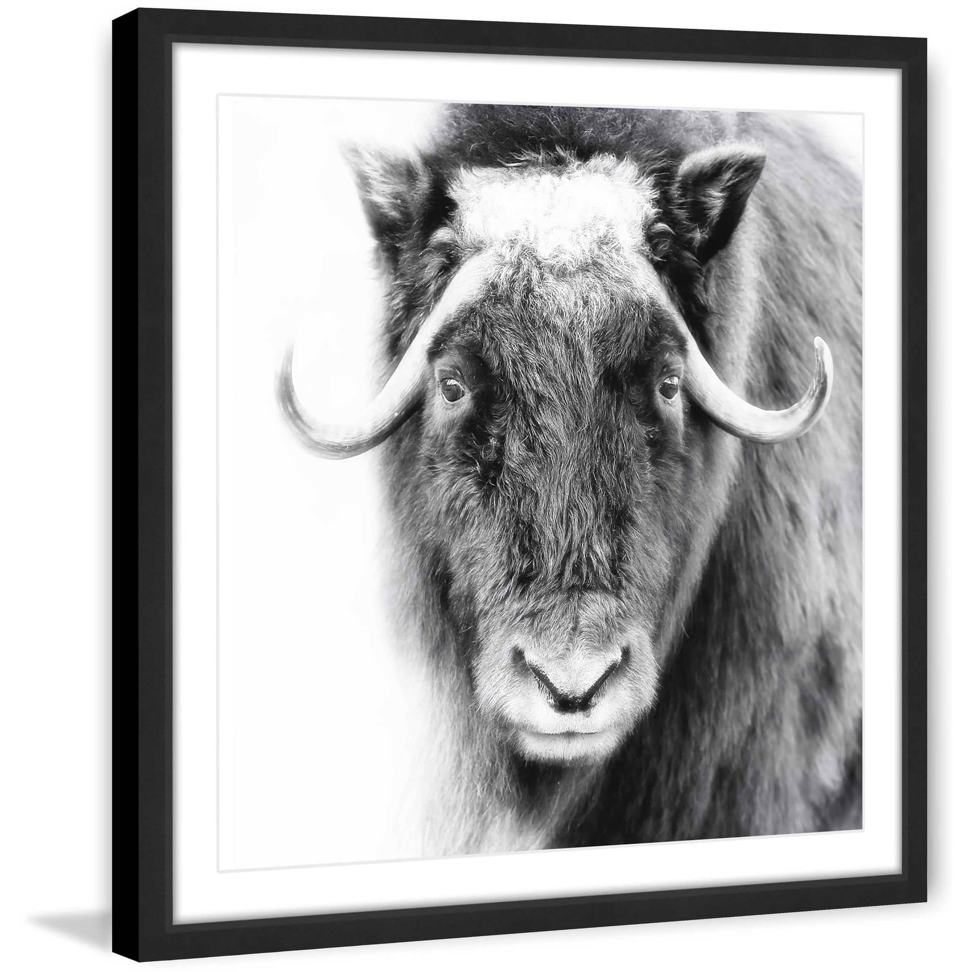 Look at Me Framed Painting Print