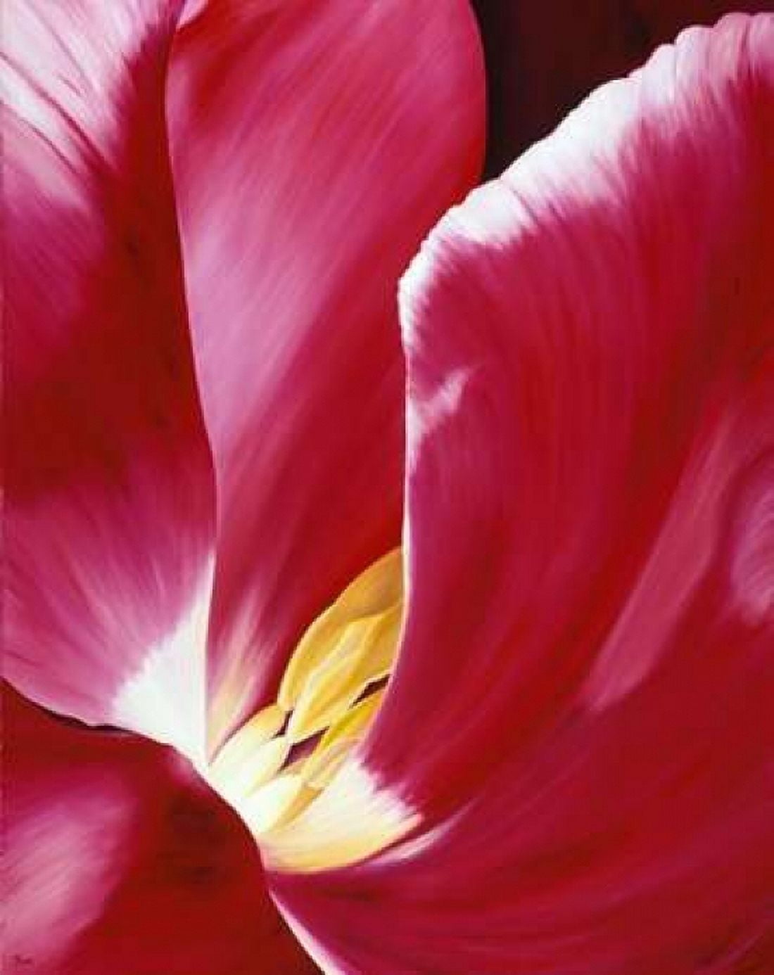 Look closer Canvas Art - Yvonne Poelstra-Holzhaus (22 x 28)
