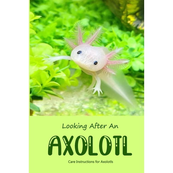 Looking After An Axolotl: Care Instructions for Axolotls, (Paperback)