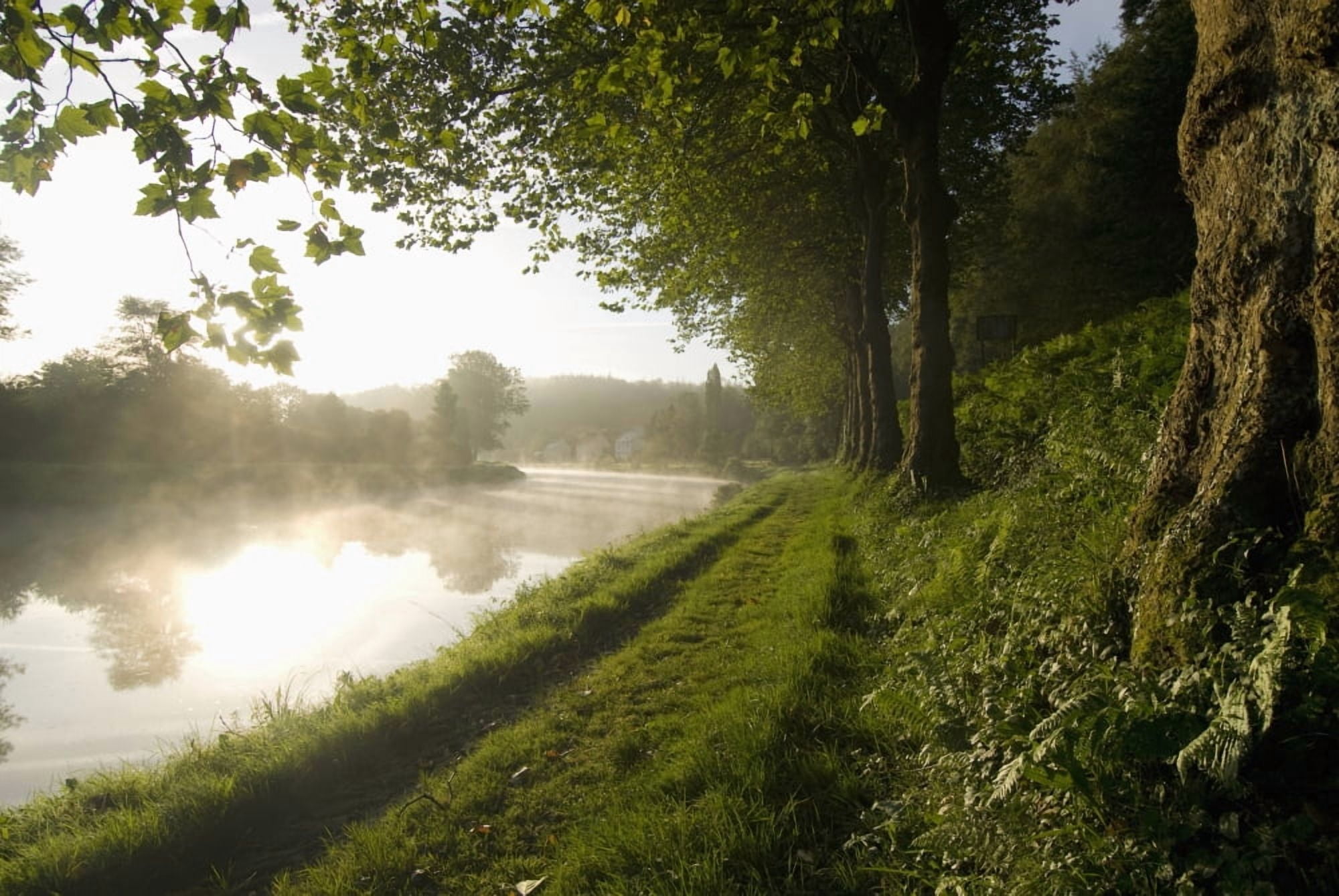 Looking Along The Nantes-Brest Canal On A Misty Morning Canvas Art - Ian Cumming Design Pics (17 x 11)