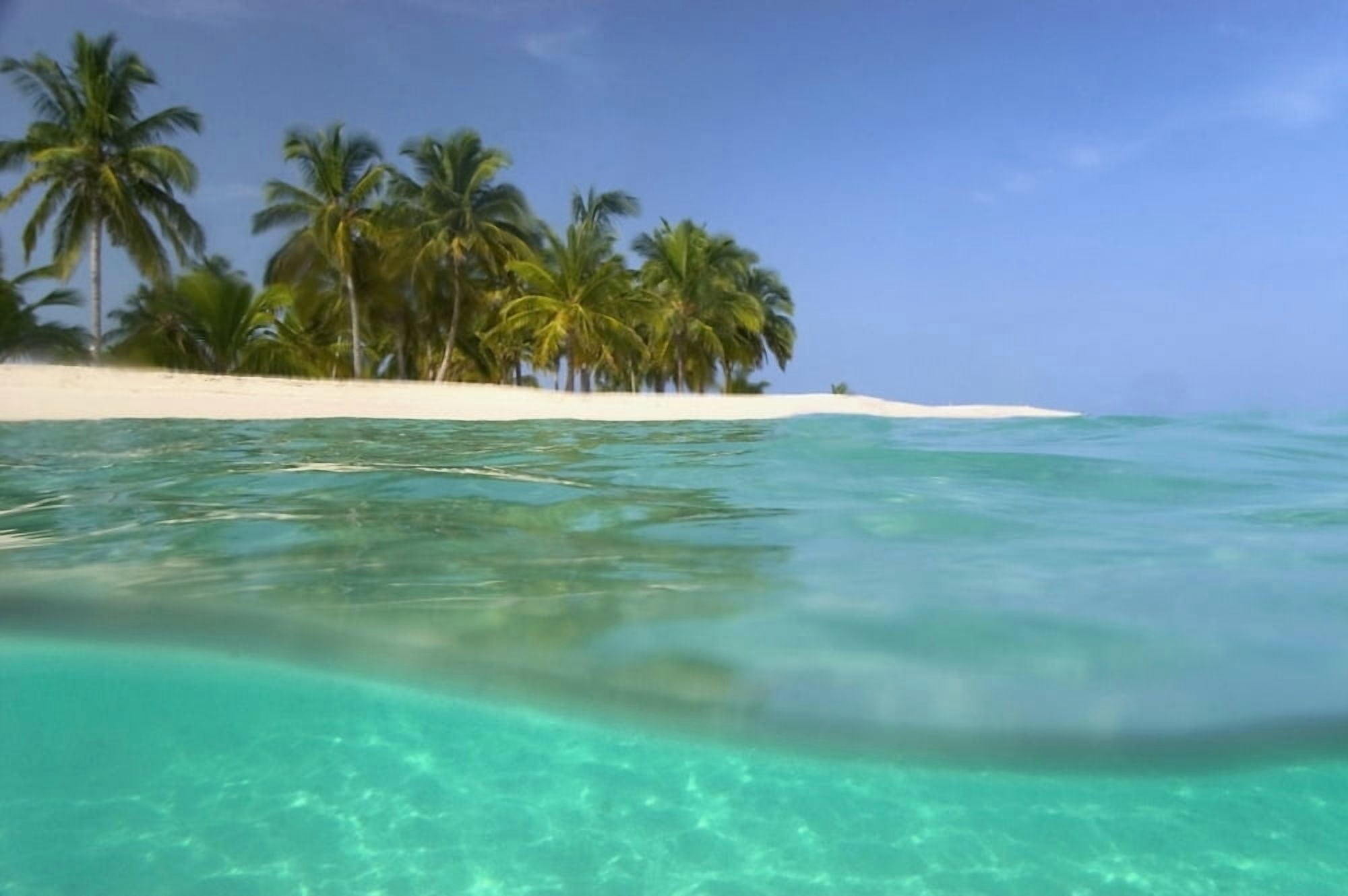 Looking Ashore To Cayo Levantado As Viewed Half Underwater Canvas Art - Ian Cumming Design Pics (17 x 11)