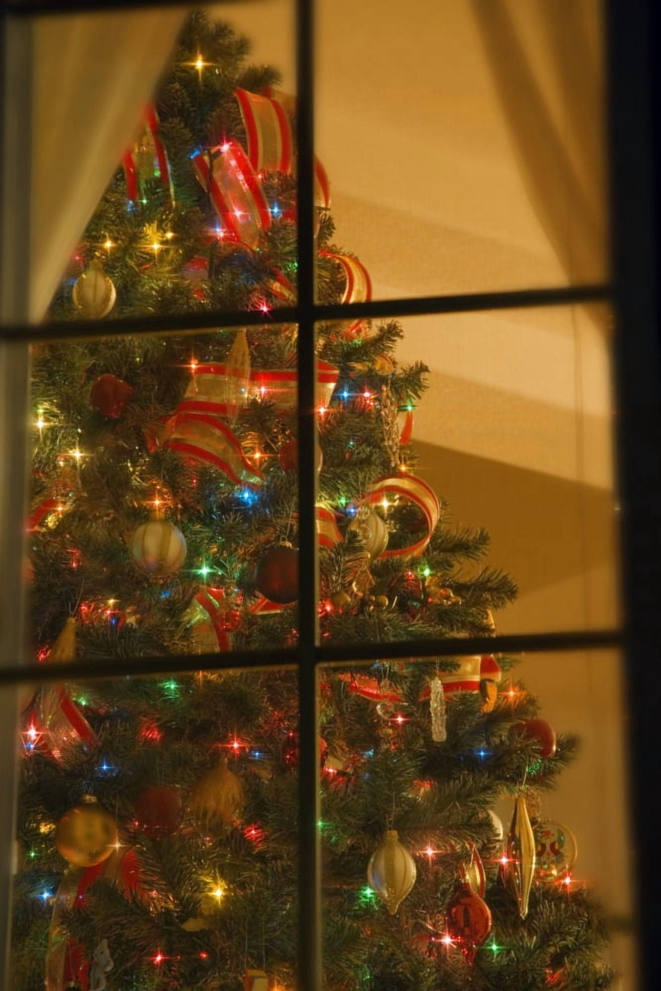 Looking At Indoor Christmas Tree Through Window Canvas Art - Carson Ganci Design Pics (11 x 17)