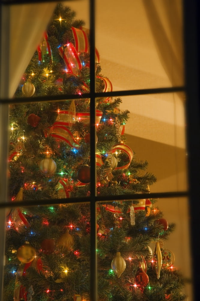 Looking At Indoor Christmas Tree Through Window Canvas Art - Carson Ganci Design Pics (22 x 34)