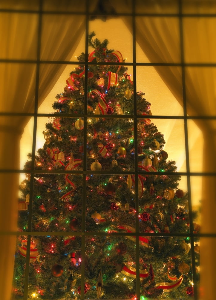 Looking At Indoor Christmas Tree Through Window Canvas Art - Carson Ganci Design Pics (24 x 34)