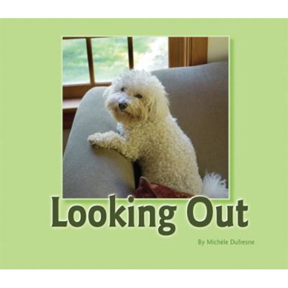 Pre-Owned Looking Out (Paperback) 1584533773 9781584533771