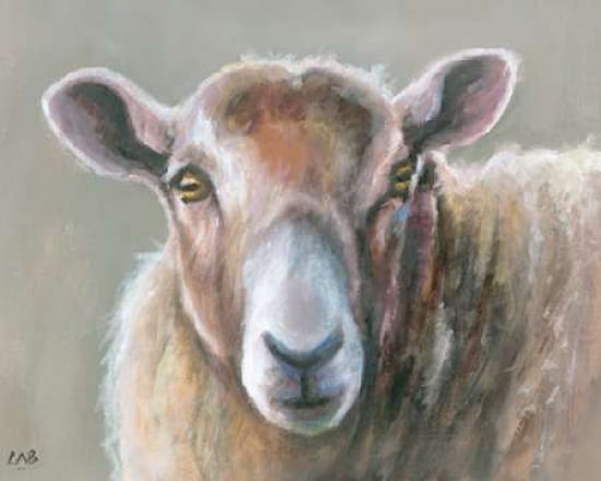 Looking Sheepish Canvas Art - Louise Brown (24 x 30)
