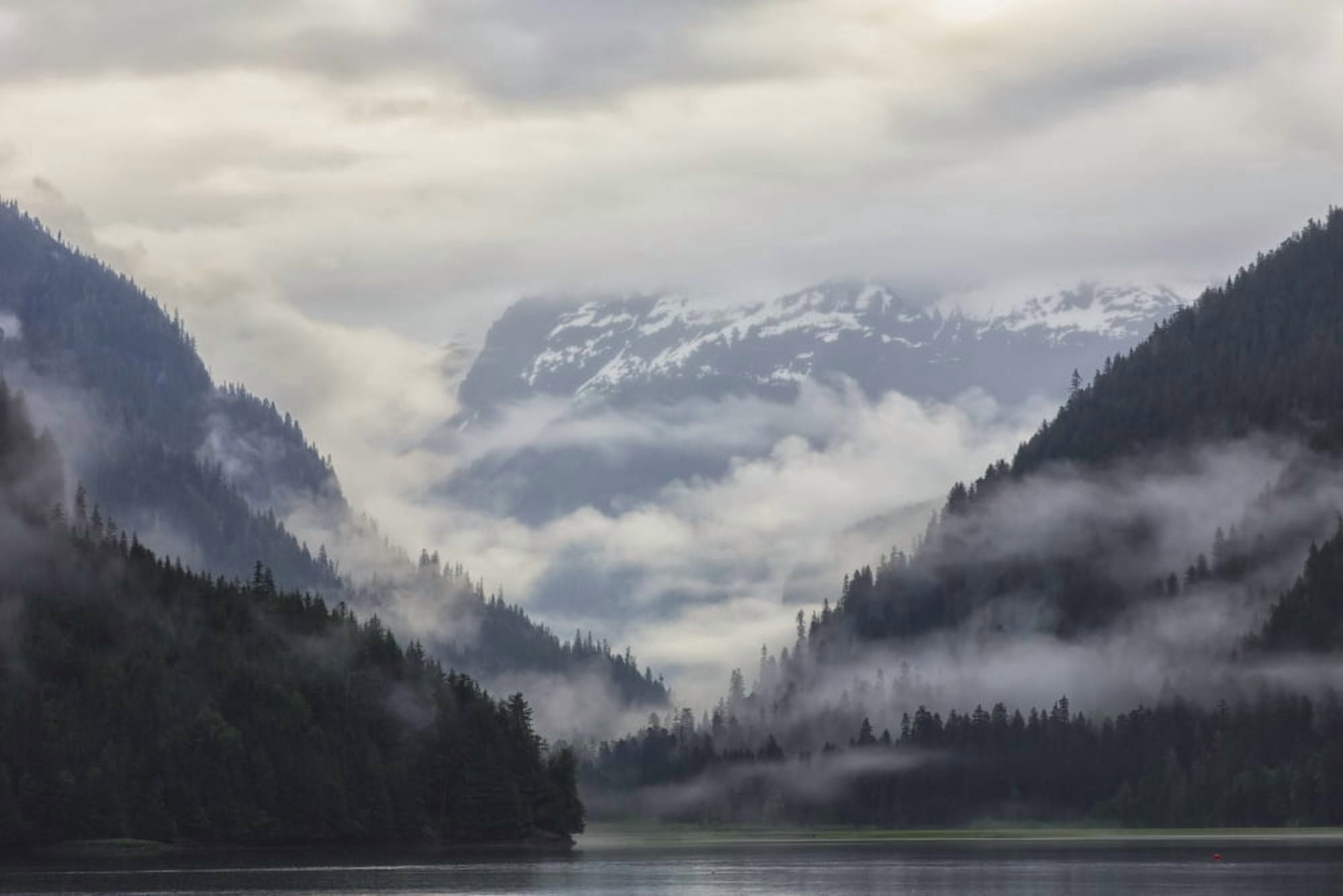 Looking into the fog shrouded estuary of Khutzeymateen Grizzly Bear Sanctuary British Columbia Canada Canvas Art - Robert Postma Design Pics (38 x 24)