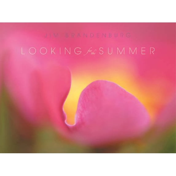 Pre-Owned Looking for the Summer Paperback