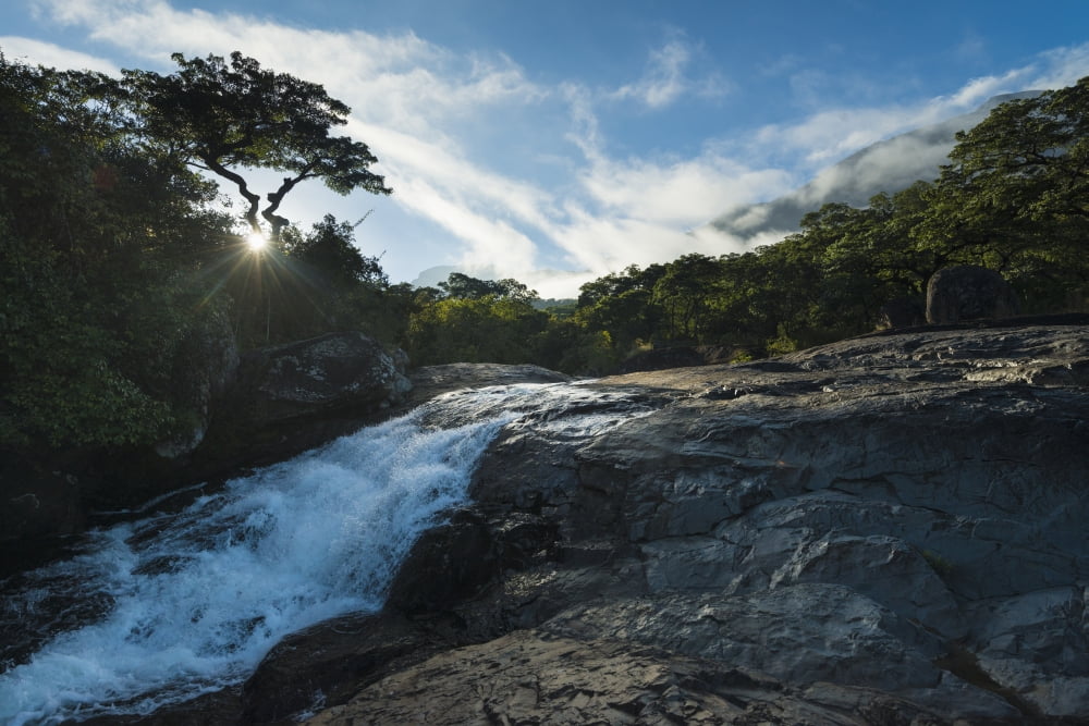 Looking up small waterfall at dawn Likhubula Mount Mulanje Malawi Canvas Art - Ian Cumming Design Pics (19 x 12)