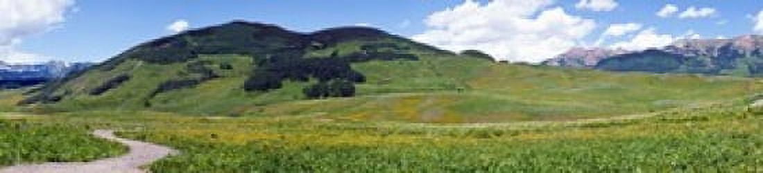 Looking west from Gothic Road just north of Mount Crested Butte Gunnison County Colorado USA Canvas Art - Panoramic Images (44 x 10)