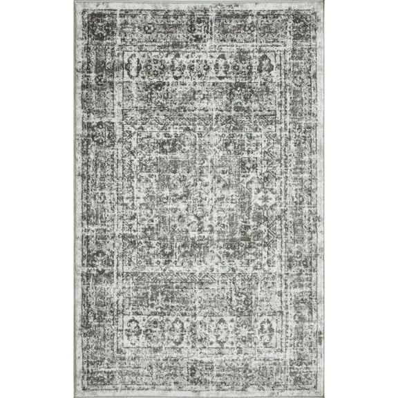 Loomaknoti Rhane Aberd 3' x 5' Gray Oriental Indoor Accent Rug