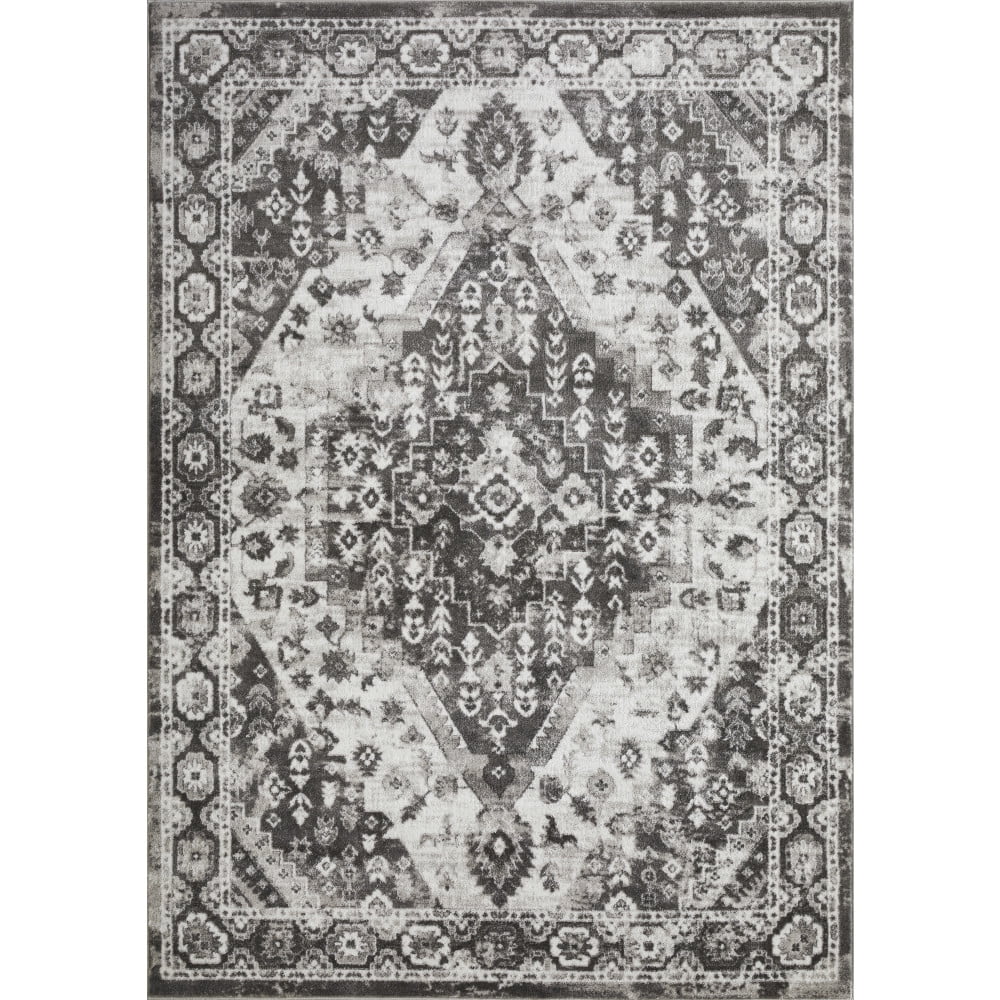 Loomaknoti Rhane Adleigh 6' x 9' Gray Oriental Indoor Area Rug