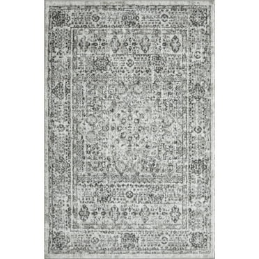 Loomaknoti Rhane Aleckan 4' x 6' Gray Oriental Indoor Area Rug