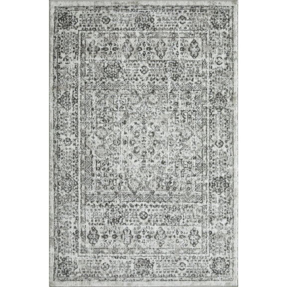 Loomaknoti Rhane Aleckan 4' x 6' Gray Oriental Indoor Area Rug