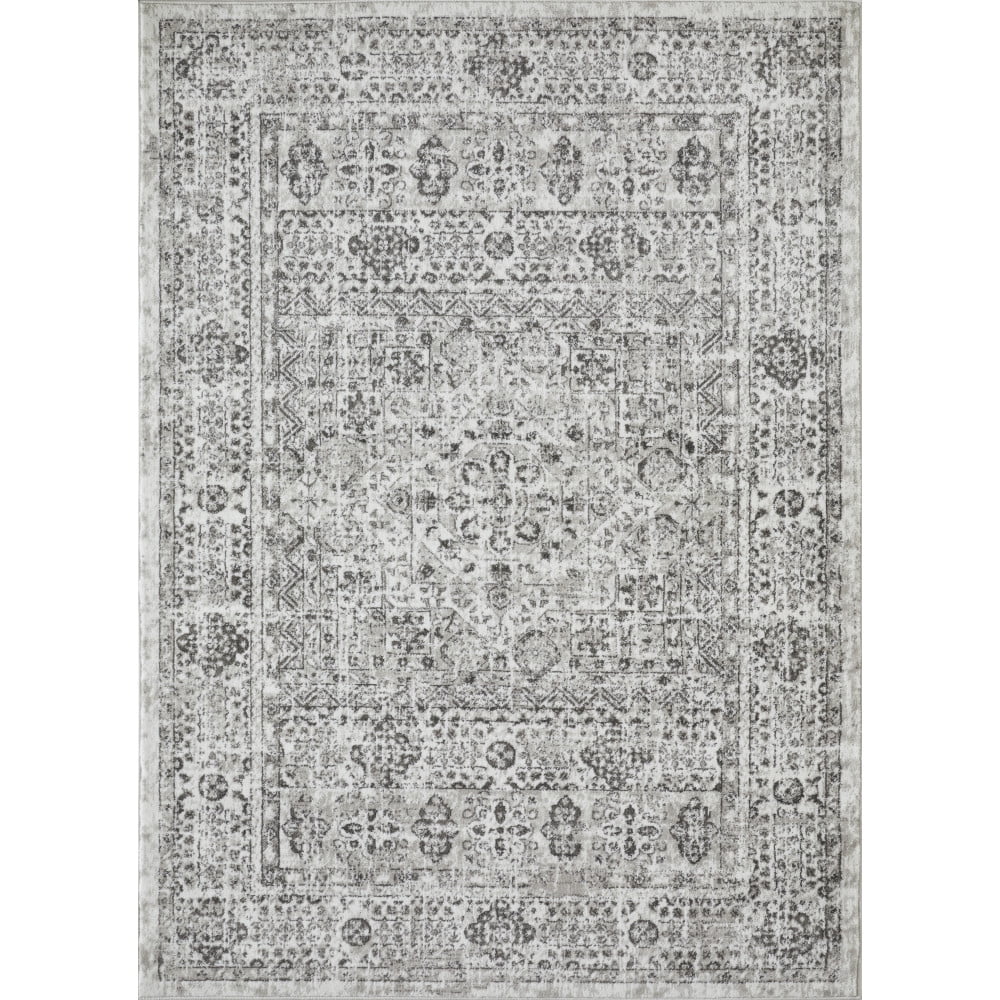 Loomaknoti Rhane Aleckan 5' x 7' Gray Oriental Indoor Area Rug