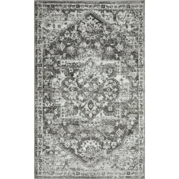 Loomaknoti Rhane Alemern 3' x 5' Gray Oriental Indoor Accent Rug