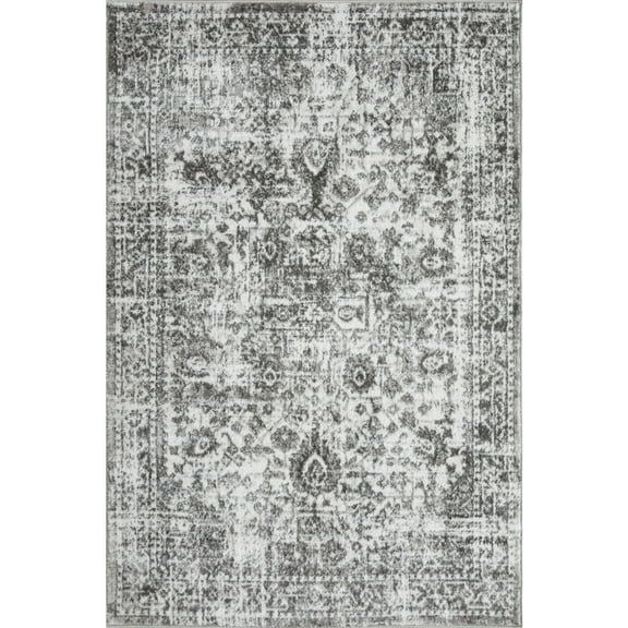 Loomaknoti Rhane Allory 4' x 6' Dark Grey Oriental Indoor Area Rug