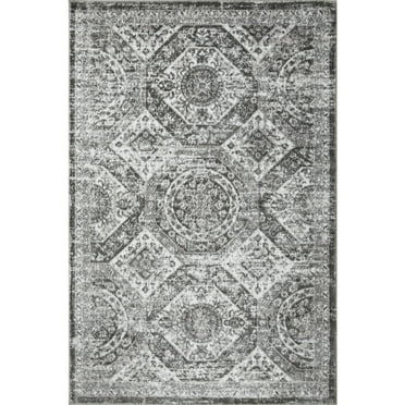 Loomaknoti Rhane Alvezi 4' x 6' Gray Oriental Indoor Area Rug
