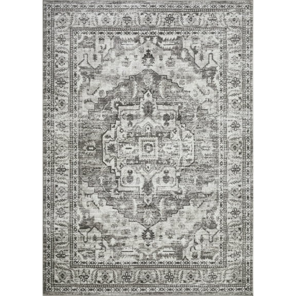 Loomaknoti Rhane Alvner 9' x 12' Gray Oriental Indoor Area Rug