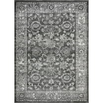 Loomaknoti Rhane Vaild 6' x 9' Gray Oriental Indoor Area Rug