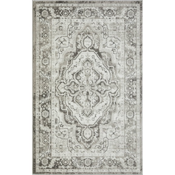 Loomaknoti Rhane Valok 3' x 5' Gray Oriental Indoor Accent Rug