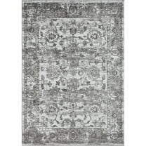 Loomaknoti Rhane Vandian 5' x 7' Gray Oriental Indoor Area Rug