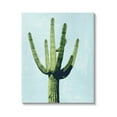 thumbnail image 1 of Looming Cactus Turquoise Sky Botanical & Floral Graphic Art Gallery Wrapped Canvas Print Wall Art, 1 of 7