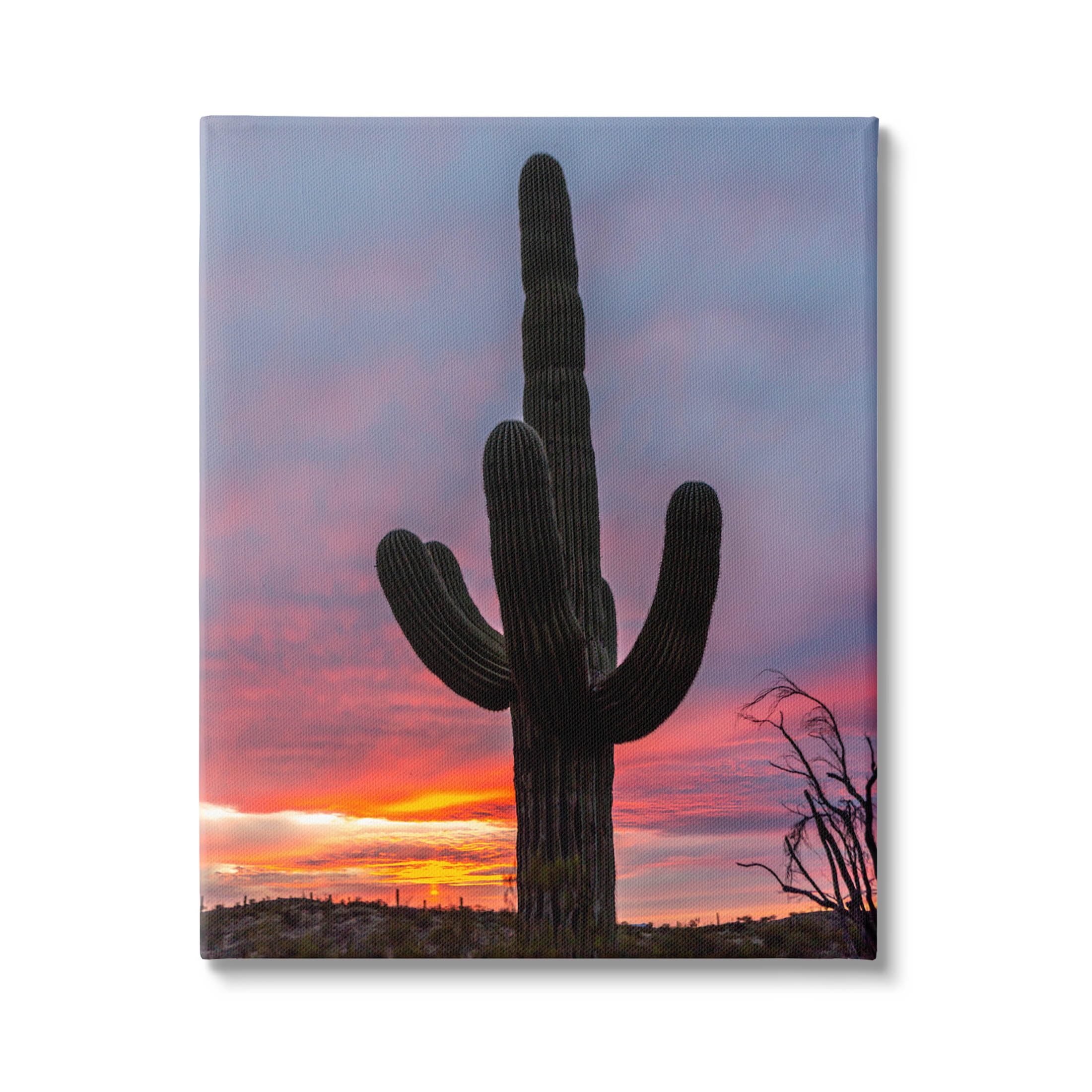Looming Desert Cactus Silhouette Landscape Photograph Gallery Wrapped Canvas Print Wall Art