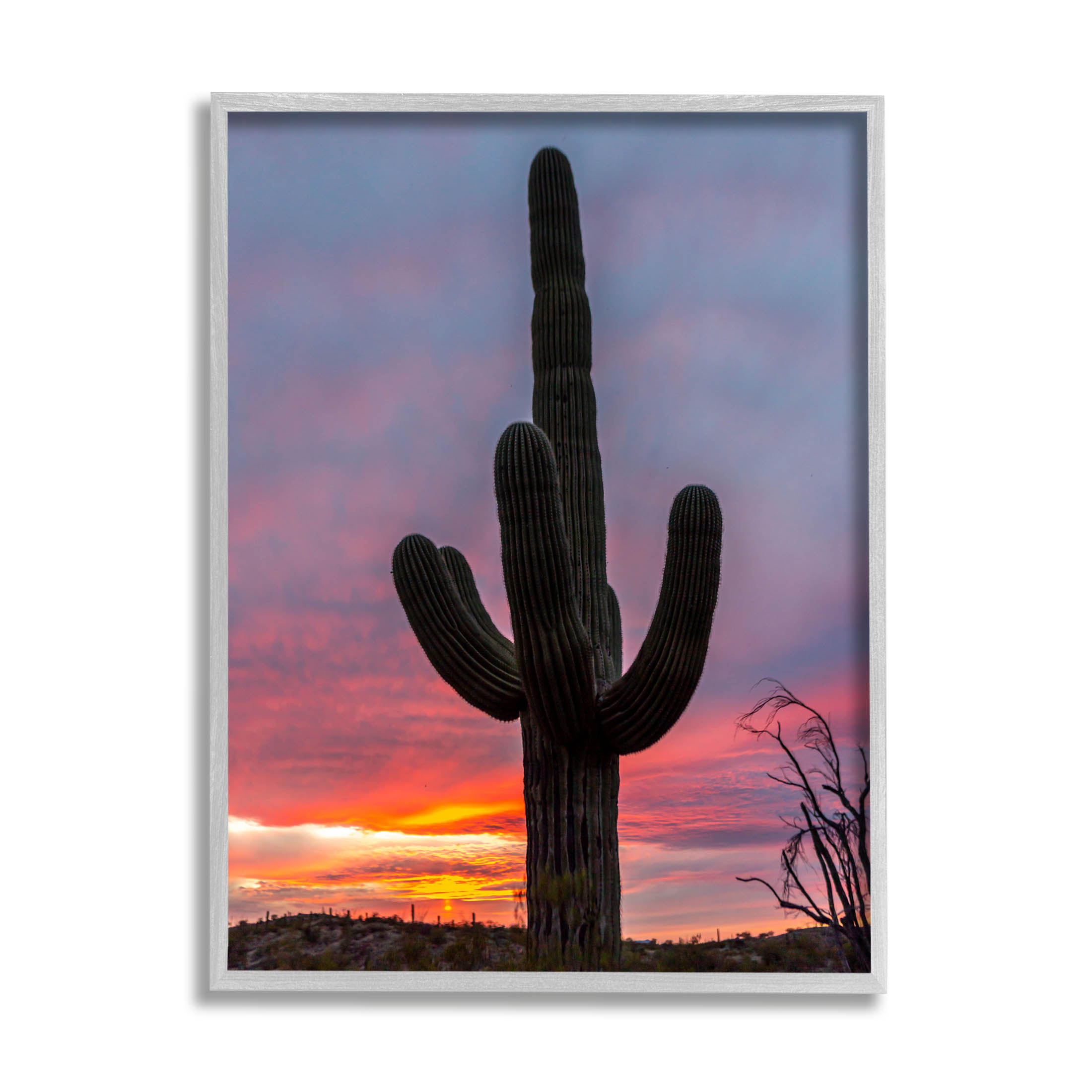 Looming Desert Cactus Silhouette Landscape Photograph Gray Framed Art Print Wall Art