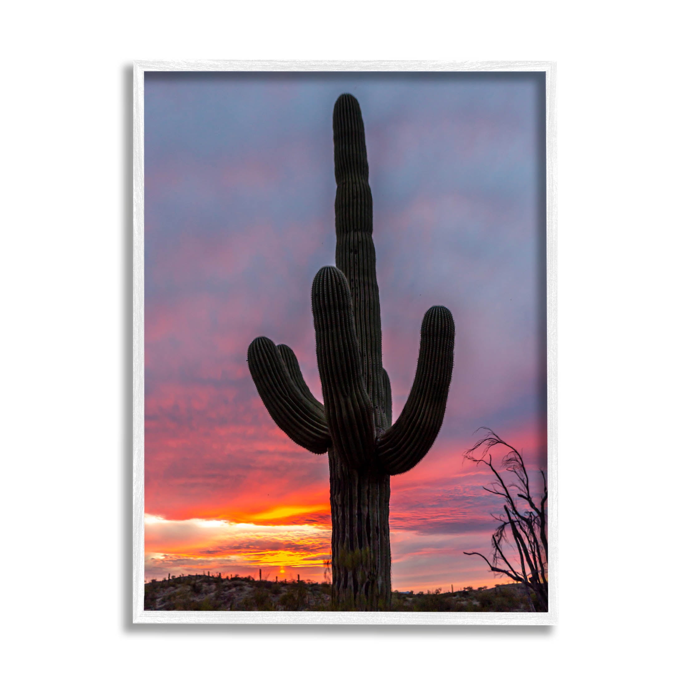 Looming Desert Cactus Silhouette Landscape Photograph White Framed Art Print Wall Art