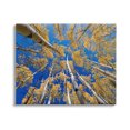 thumbnail image 1 of Looming Woodland Foliage Trees Landscape Photograph Gallery Wrapped Canvas Print Wall Art, 1 of 7